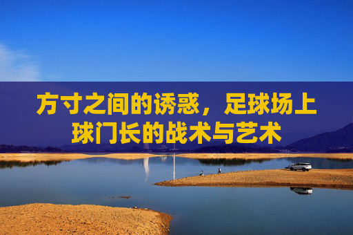 方寸之间的诱惑,足球场上球门长的战术与艺术