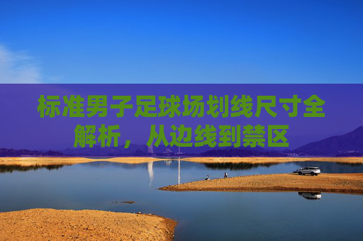 标准男子足球场划线尺寸全解析,从边线到禁区