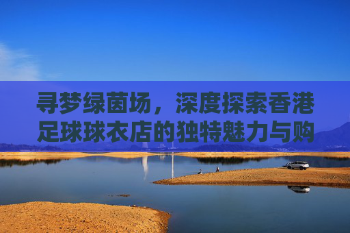 寻梦绿茵场,深度探索香港足球球衣店的独特魅力与购物指南