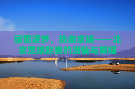 绿茵逐梦，热血京城——北京足球联赛的激情与荣耀