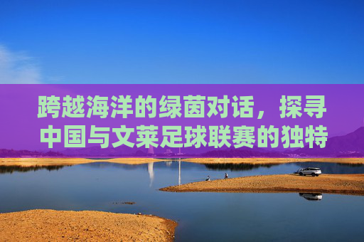 跨越海洋的绿茵对话,探寻中国与文莱足球联赛的独特魅力
