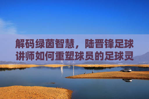 解码绿茵智慧,陆晋锋足球讲师如何重塑球员的足球灵魂