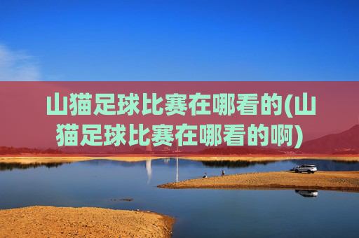 山猫足球比赛在哪看的(山猫足球比赛在哪看的啊)