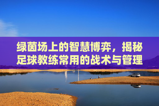 绿茵场上的智慧博弈，揭秘足球教练常用的战术与管理手法