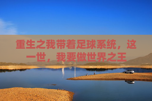 重生之我带着足球系统，这一世，我要做世界之王