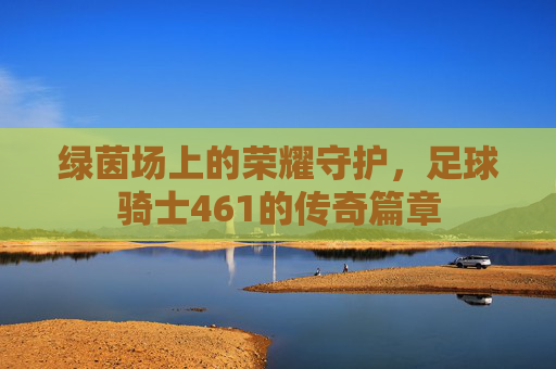 绿茵场上的荣耀守护,足球骑士461的传奇篇章