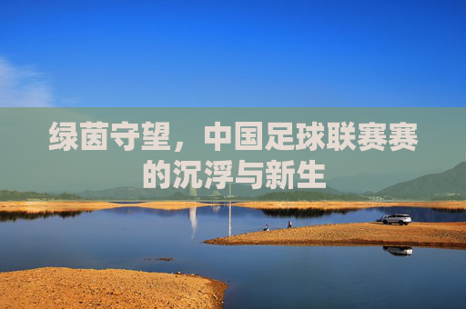 绿茵守望,中国足球联赛赛的沉浮与新生