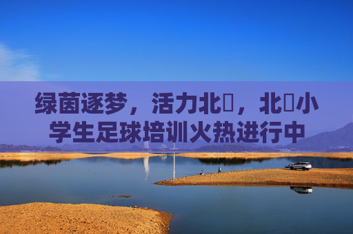 绿茵逐梦，活力北滘，北滘小学生足球培训火热进行中