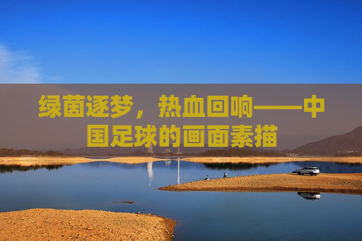 绿茵逐梦,热血回响——中国足球的画面素描