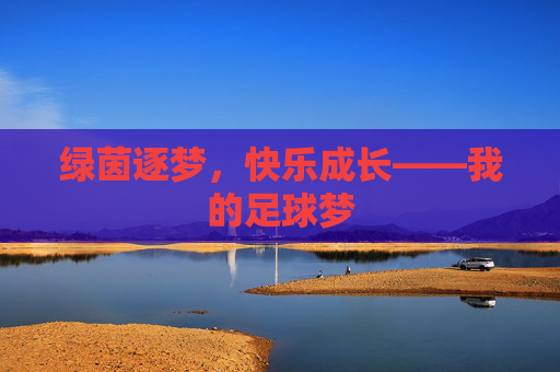 绿茵逐梦，快乐成长——我的足球梦