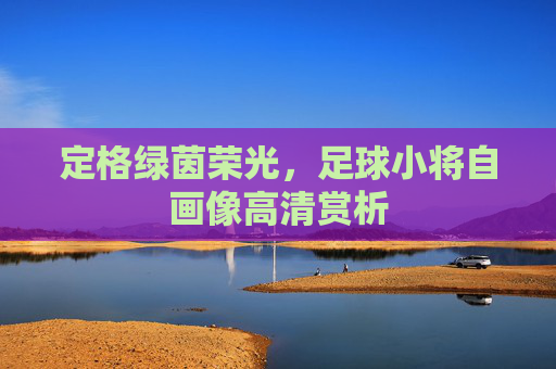 定格绿茵荣光,足球小将自画像高清赏析