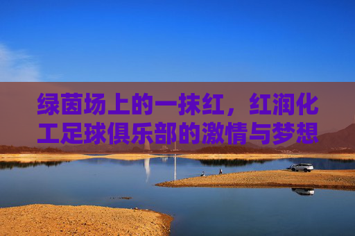 绿茵场上的一抹红,红润化工足球俱乐部的激情与梦想