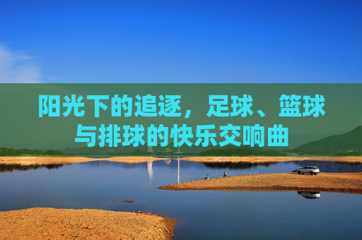 阳光下的追逐,足球、篮球与排球的快乐交响曲