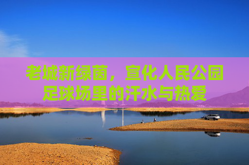 老城新绿茵,宣化人民公园足球场里的汗水与热爱