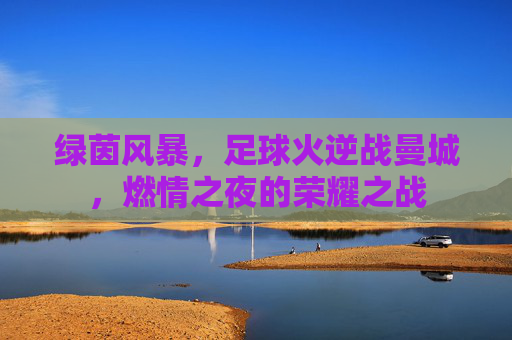 绿茵风暴，足球火逆战曼城，燃情之夜的荣耀之战