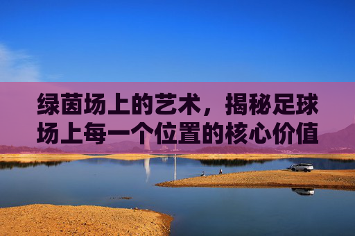绿茵场上的艺术,揭秘足球场上每一个位置的核心价值