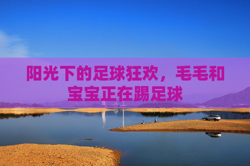 阳光下的足球狂欢，毛毛和宝宝正在踢足球