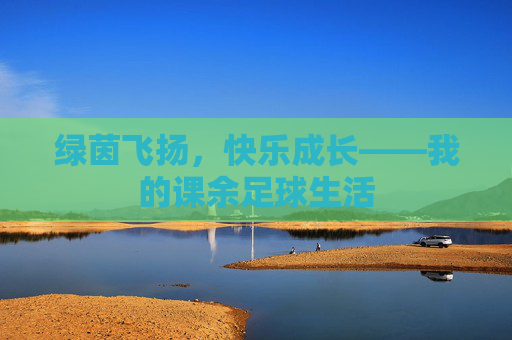 绿茵飞扬，快乐成长——我的课余足球生活