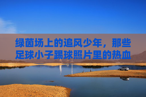 绿茵场上的追风少年,那些足球小子踢球照片里的热血与梦想