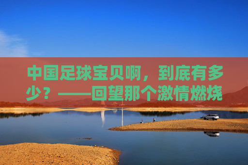 中国足球宝贝啊，到底有多少？——回望那个激情燃烧的黄金时代