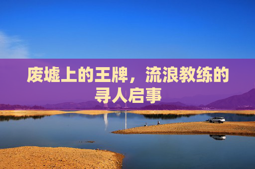 废墟上的王牌,流浪教练的寻人启事