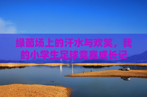 绿茵场上的汗水与欢笑,我的小学生足球竞赛成长记