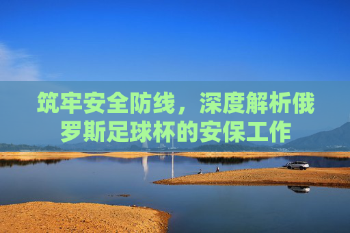 筑牢安全防线，深度解析俄罗斯足球杯的安保工作