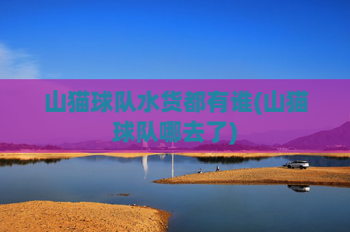山猫球队水货都有谁(山猫球队哪去了)
