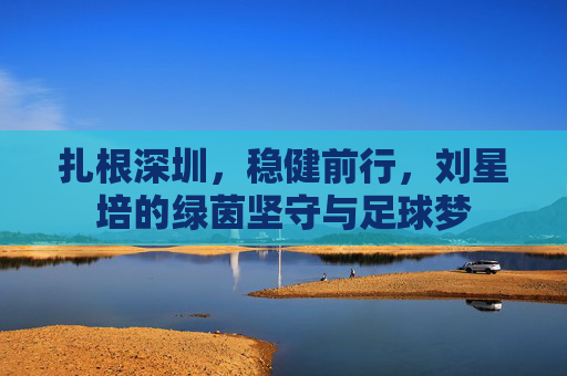 扎根深圳，稳健前行，刘星培的绿茵坚守与足球梦