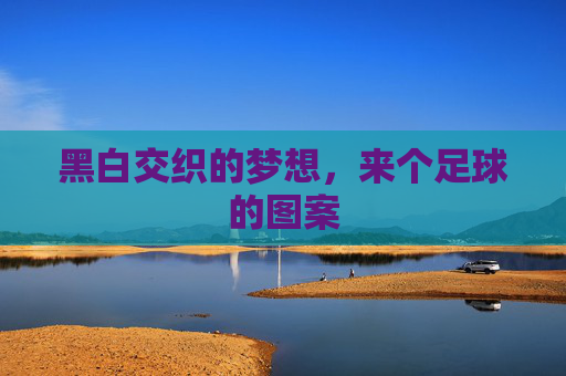 黑白交织的梦想,来个足球的图案