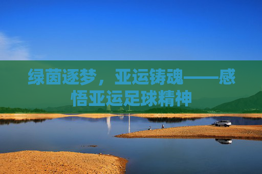绿茵逐梦，亚运铸魂——感悟亚运足球精神