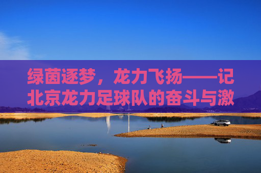 绿茵逐梦，龙力飞扬——记北京龙力足球队的奋斗与激情