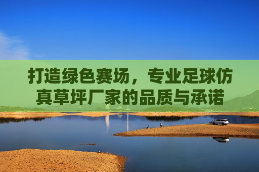 打造绿色赛场，专业足球仿真草坪厂家的品质与承诺