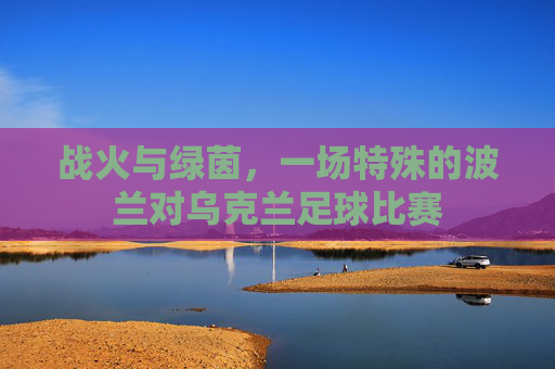 战火与绿茵,一场特殊的波兰对乌克兰足球比赛