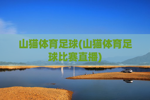 山猫体育足球(山猫体育足球比赛直播)