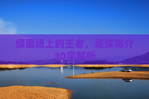 绿茵场上的王者，足球简介30字解析