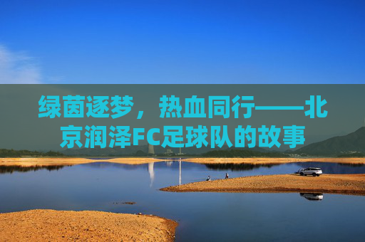 绿茵逐梦,热血同行——北京润泽FC足球队的故事