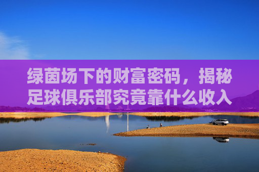 绿茵场下的财富密码，揭秘足球俱乐部究竟靠什么收入