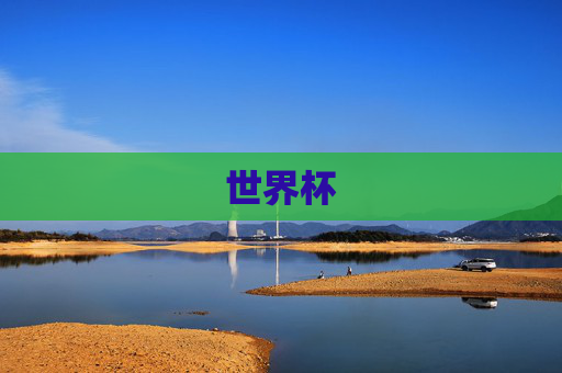 世界杯