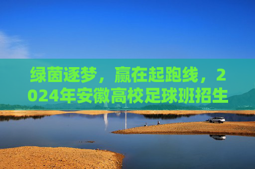 绿茵逐梦，赢在起跑线，2024年安徽高校足球班招生全攻略