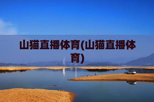 山猫直播体育(山猫直播体育)