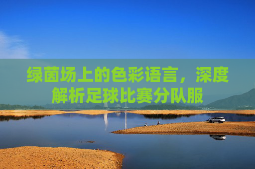 绿茵场上的色彩语言,深度解析足球比赛分队服