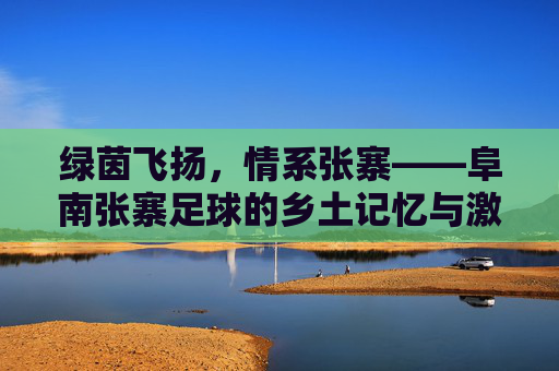 绿茵飞扬，情系张寨——阜南张寨足球的乡土记忆与激情