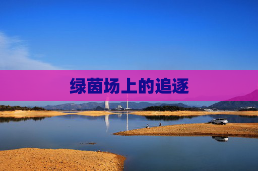 绿茵场上的追逐