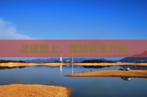 足球场上,团结就是力量