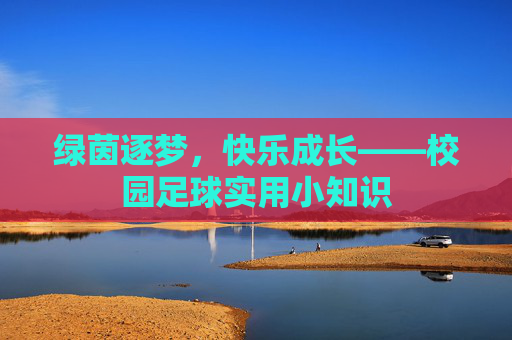 绿茵逐梦,快乐成长——校园足球实用小知识