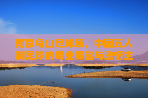 南京龟山足球场,中国五人制足球的专业殿堂与激情主场