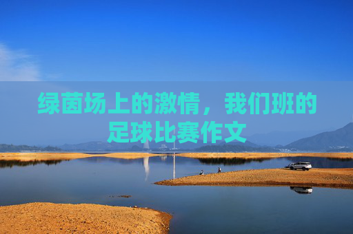 绿茵场上的激情,我们班的足球比赛作文