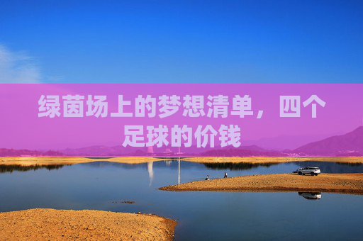 绿茵场上的梦想清单,四个足球的价钱