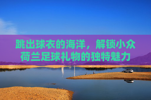 跳出球衣的海洋，解锁小众荷兰足球礼物的独特魅力